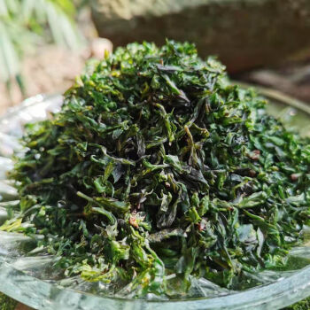 貴州特產遵義野生茶苦丁茶毛冬青小葉新茶解暑2021年涼茶 小葉苦丁茶