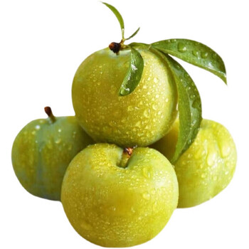 蜂糖李 贵州镇宁六马蜂糖李新鲜水果 孕妇甜蜂糖李子 3斤装(大果)