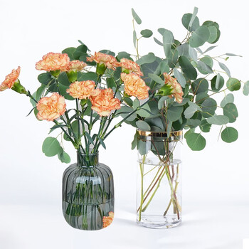 花点时间花点花田鲜花花材尤加利叶圆叶10枝康乃馨10枝颜色随机