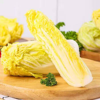 娃娃菜新鲜蔬菜小白菜小娃娃菜批发黄心时令蔬菜小白菜新鲜大白菜新鲜