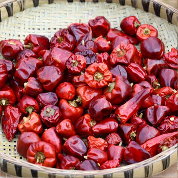 (满38减10)灯笼椒辣椒250克/500克/1000克泡椒四川干辣椒干红辣椒面粉