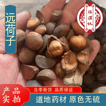 瑞满恒 华梁草 中药材 华良草 华粮草 华樑草 另售远荷子 远荷子 250