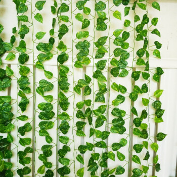 岸芷汀蘭仿真藤條葡萄葉藤吊頂裝飾綠葉植物纏繞藤蔓塑料爬山虎假花