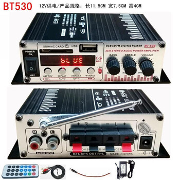 蓝牙功放大功率迷你小功放机家用220v12伏车载音箱放大器av功放bt530
