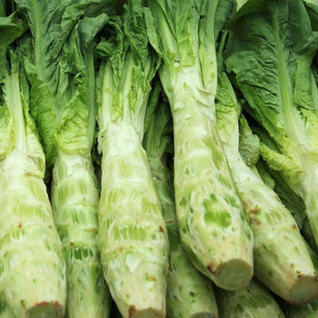 四川新鲜莴笋青笋农家自种白皮莴笋紫皮莴笋青皮莴笋特产蔬菜 净重9斤