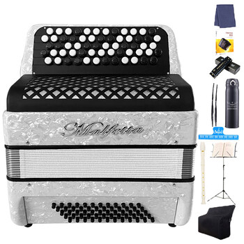 巴扬手风琴60贝斯96贝斯琴身成人初学者演奏考级纽扣琴墨菲特 60贝斯