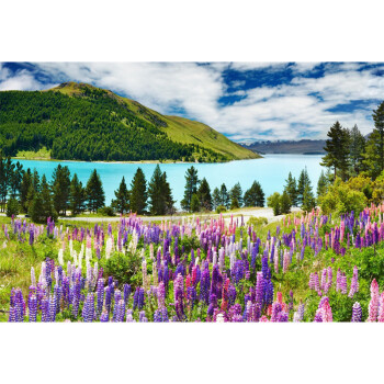 秋天山水花草风景图图片