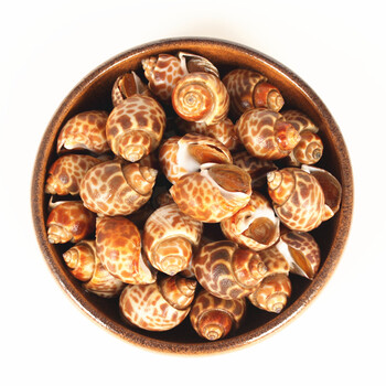 新鲜活冻花螺海鲜海螺香螺东风螺贝类花罗海鲜 精选大号4斤装