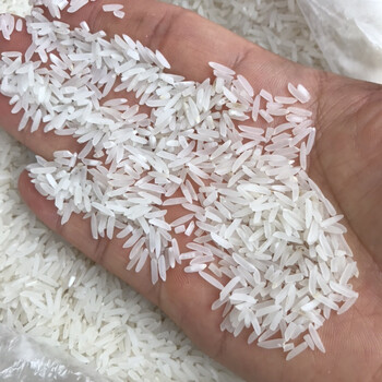 2021年新米早稻象牙香米广西大米宾阳米10斤