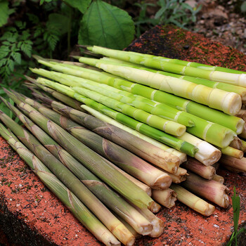 炎陵馆农家现挖新鲜小竹笋带壳野生小春笋嫩山笋8斤装泡沫箱冰袋发货