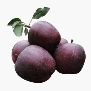 魃鲜稀有特级黑苹果罕见水果黑钻苹果黑卡平果高品质黑苹果带箱10斤