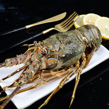 尝鲜生  大龙虾海鲜年货礼盒冷冻小青龙虾大花龙虾古巴龙虾 大青龙【8