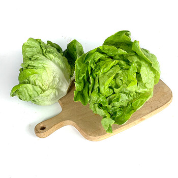 奶油生菜5斤  西餐配菜新鲜蔬菜沙拉食材