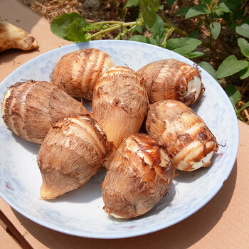 江西芋头新鲜小芋头5斤芋仔白芽农家蔬菜现挖芋子软糯 8斤