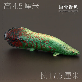 假魚玩具魚模型實心動物模型玩具觀賞金龍魚巨骨舌魚錦鯉鱷雀鱔恐龍