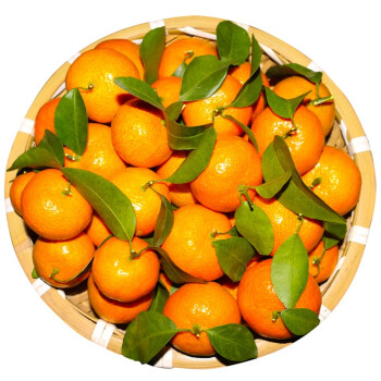 井掌柜广西正宗南丰砂糖橘新鲜薄皮沙糖橘小桔子甜蜜橘当季水果3斤