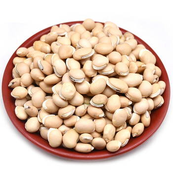 白扁豆500克 云南农家无硫 藊豆 白藊豆 南扁豆 可搭杂粮