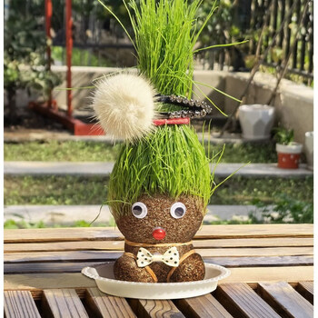 长草娃娃 迷你植物办公室摆件长草娃娃桌面小盆景草头娃娃情思草 经典