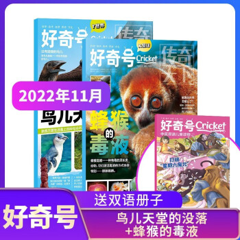 好奇号杂志 2022年11月期鸟儿天堂的没落 单期订阅 每月3册 少儿科普 杂志铺