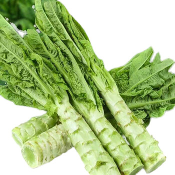 小香莴笋四川农家自种小香莴笋新鲜当季蔬菜青菜现货3斤