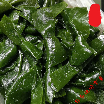 火锅食材海带结盐渍海带扣中结小结净重1/5斤串串香关东煮海带结 关东