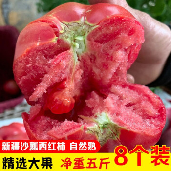 想妮（xiangni）新疆沙瓤西红柿新鲜自然熟新疆番茄 西红柿生吃新鲜水果 5斤精选礼盒（超大果8个装）