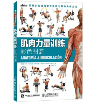 肌肉力量训练彩色图谱 运动健身肌肉拉伸书籍 肌肉训练全书完全图解 健身教练教程书籍 健身塑身书力量训 mobi格式下载