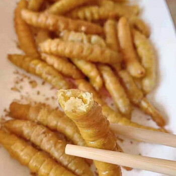 山东大豆虫豆虫蛹豆虫活体豆虫大豆虫油炸豆丹山东豆虫4斤保温箱装