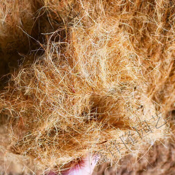 园艺椰丝铺面花盆填充物盆栽装饰植物种花椰棕丝棕榈盖面草 天然椰丝