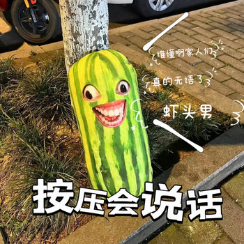 格薇拉西瓜条家人们 谁懂啊语音钥匙扣挂件无语死搞笑发声毛绒玩具