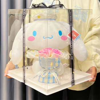 生日礼物闺蜜61六一儿童节床上抱枕礼品30cm白金玉桂狗透明礼盒现货