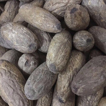 千眼菩提子原籽原料菩提果菩提籽菩提子手串红绿果彩果菩提手把件依莲