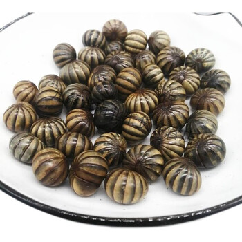 官方滚山珠虫滚山虫地罗汉中药材100g