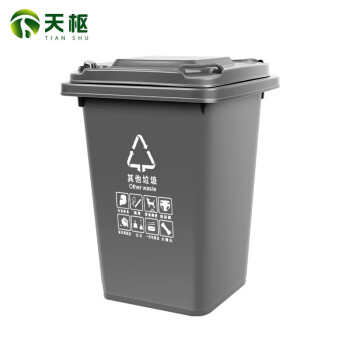 天枢30L垃圾桶带盖大容量大号塑料无轮回收分类商用户外室外办公室灰色(其他垃圾)标准款无轮