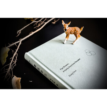 正版现货 【签名本】樱桃青衣精装 张怡微著 现当代文学小说随笔 青春