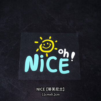 汇启达nice汽车贴纸英文个性创意车窗玻璃贴纸防晒摩托电动车贴纸装饰