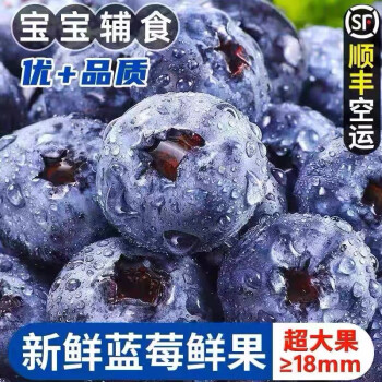 储褚【顺丰空运】云南蓝莓鲜果125g/盒精选大果当季新鲜时令水果 2盒装大果（单果15mm+)