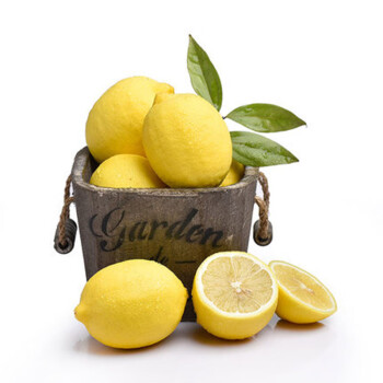 果迎鲜黄柠檬 5斤装 四川柠檬 新鲜水果 生鲜 单果60-100g