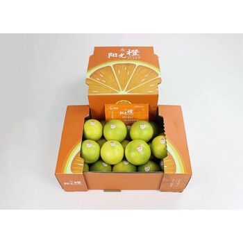 褚橙新鲜水果阳光橙云南玉溪冰糖橙绿皮礼盒装橙子非多地9斤60mm65mm