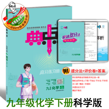 2024春典中点九年级下册化学人教/沪教/科学版同步教材练习 九下化学科学版