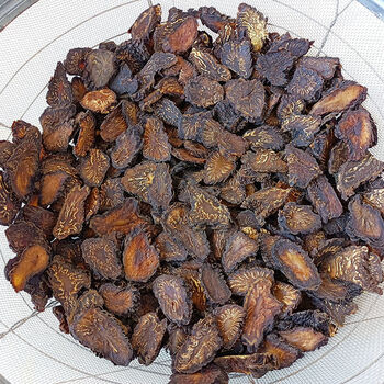 阿拉善肉苁蓉油性切片泡茶水中药材泡酒料内蒙古特级崇妙 阿拉善肉