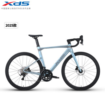 喜德盛（xds）公路车25-AD300油碟UCI车架2x10速中空一体牙盘桶轴车银蛇510MM