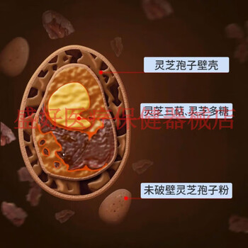 jd大药房同款直发参中堂新品芝灵芝孢子粉正i品黑土长白山赤灵芝粉中
