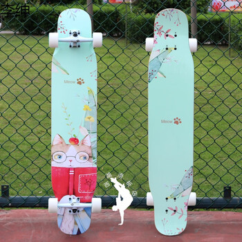 板3长板舞板刷街男女生抖音滑板初学者成人公路板 绿喵3 白桥