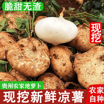 七叶岛贵州土特产新鲜现挖现发即食番薯白心地凉薯地瓜鲜果5斤