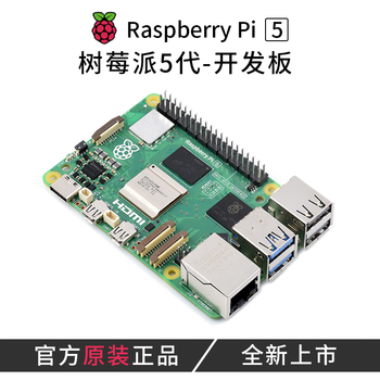 丢石头 树莓派5代 Raspberry Pi 5开发板 Linux电脑 python编程 入门主板 4GB 单独主板
