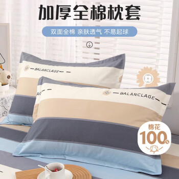 艾薇枕头套枕套一对纯棉家用全棉单人枕套枕芯套 罗马时代 48*74cm