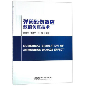 弹药毁伤效应数值仿真技术甄建伟曹凌宇孙福编著北京理工大学出版社