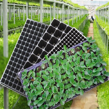 育苗盒塑料育苗盆园艺育种扦插工具花卉培育 育苗穴盘 育苗钵 50孔