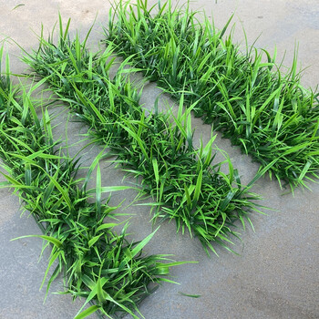 smvp假草仿真草坪植墙塑料假草垫带隔断装饰摆件造景地毯家用绿化 5